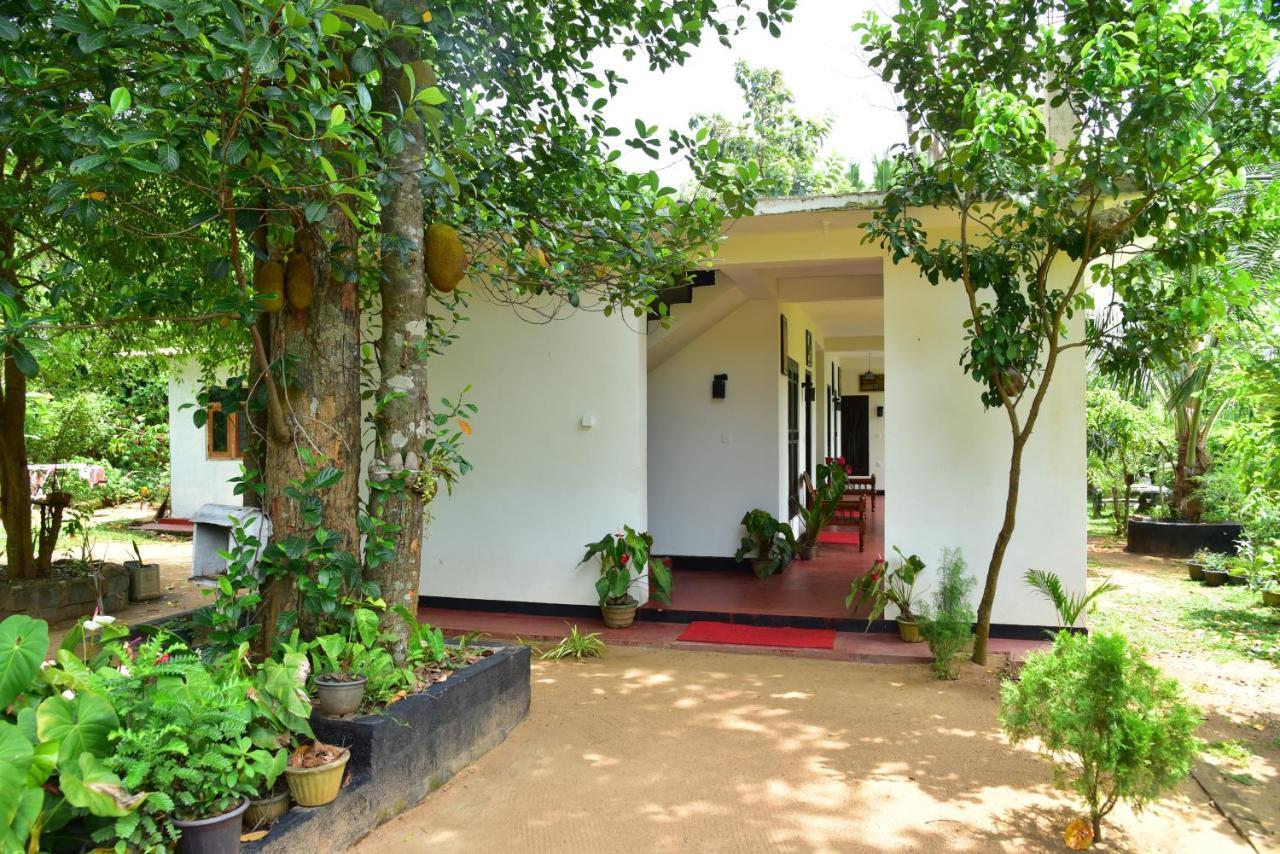 Smashing Inn Dambulla Exterior photo
